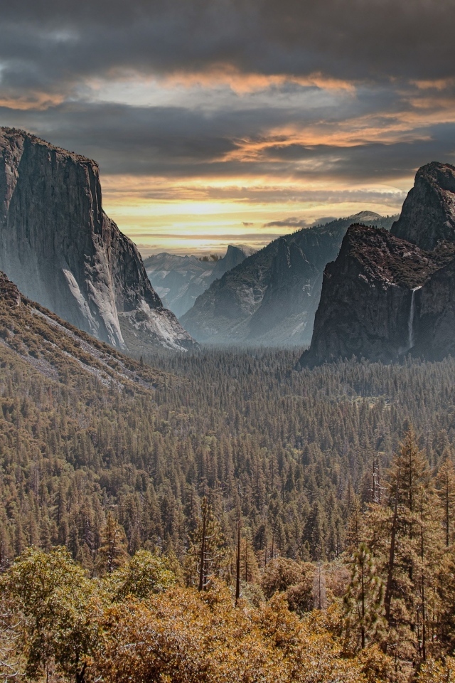 Красивый вид на хвойный лес и голы под грозовым небом