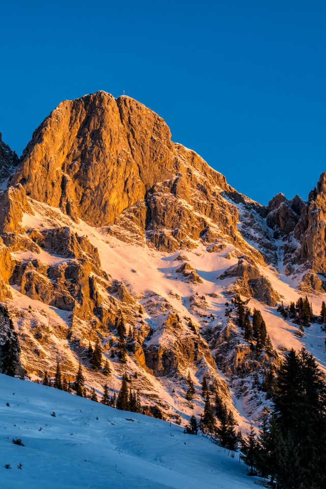 Австрийские альпы в снегу