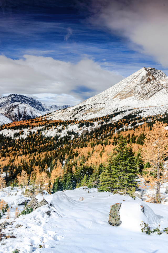 Красивый вид на холодные заснеженные горы