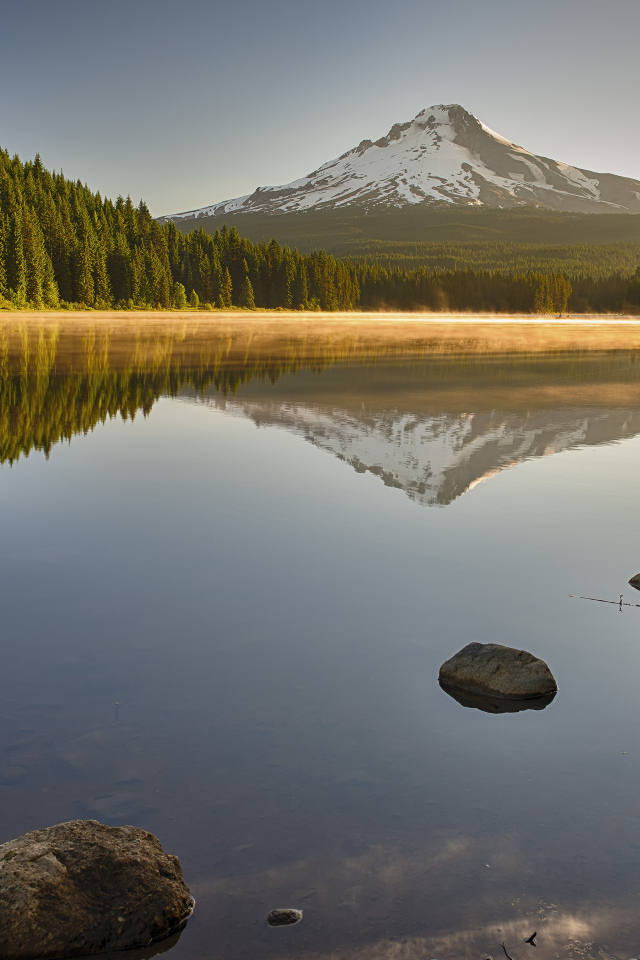 Красивый вид на озеро, лес и заснеженную гору
