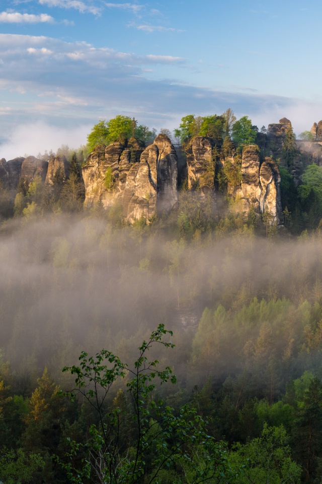 Туман над лесом в горном ущелье