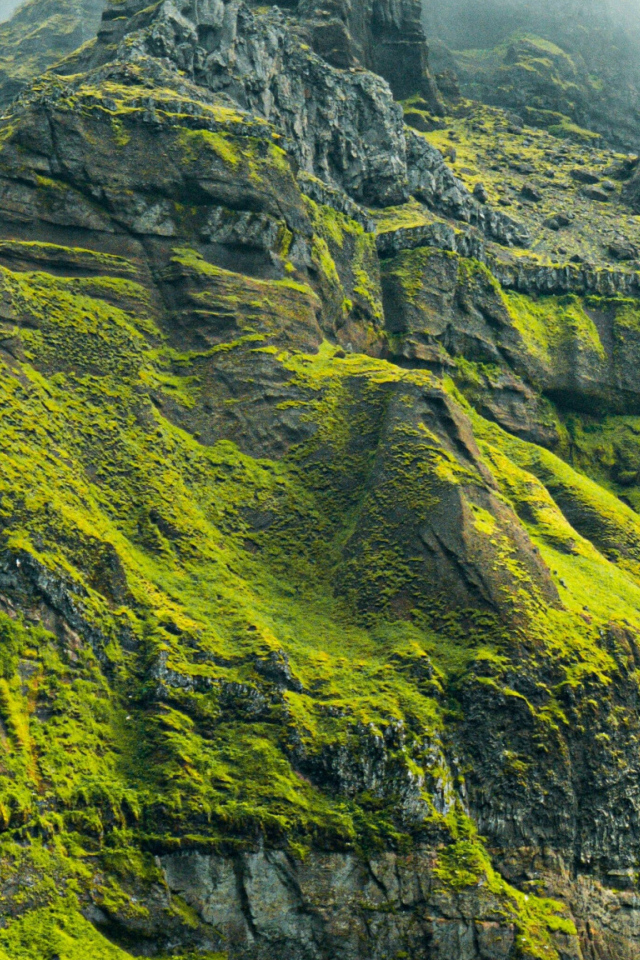 Высокая гора покрыта зеленой растительностью