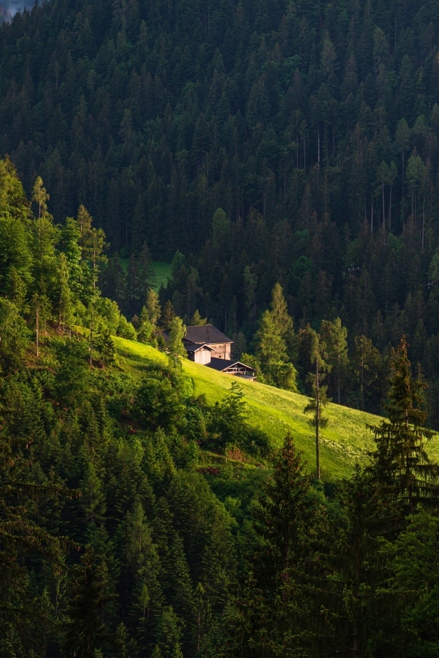 Дом на крутом покрытом лесом горном склоне