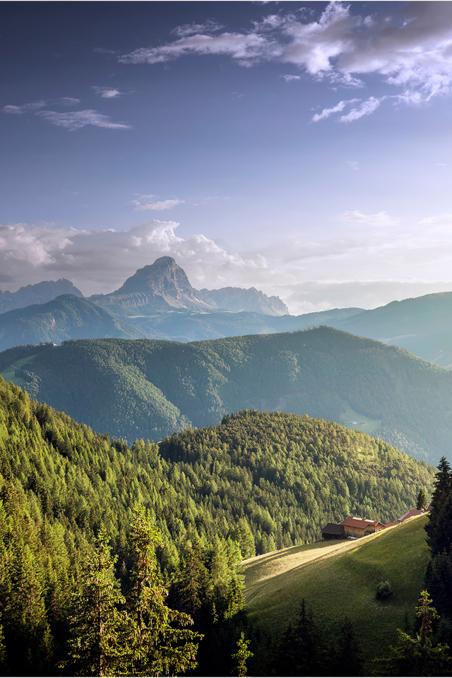 Большие покрытые густым лесом горы