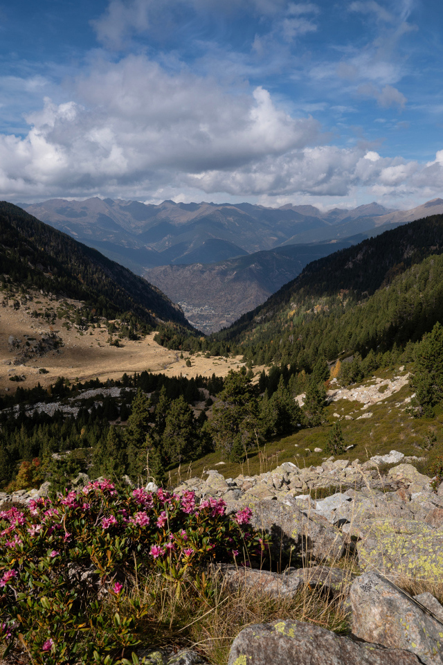 Покрытые зелеными деревьями горы под красивым небом