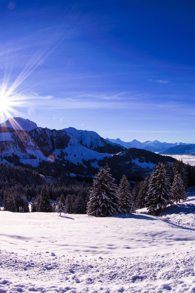 Яркое солнце освещает заснеженные альпы