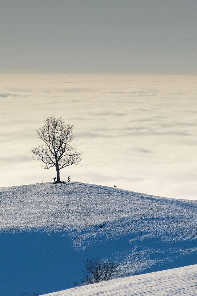 Густые белые облака в заснеженных горах