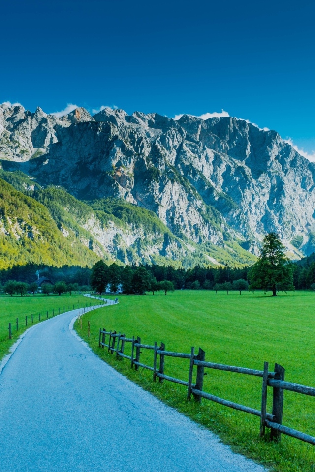 Вид на Альпы в Логарской  долине