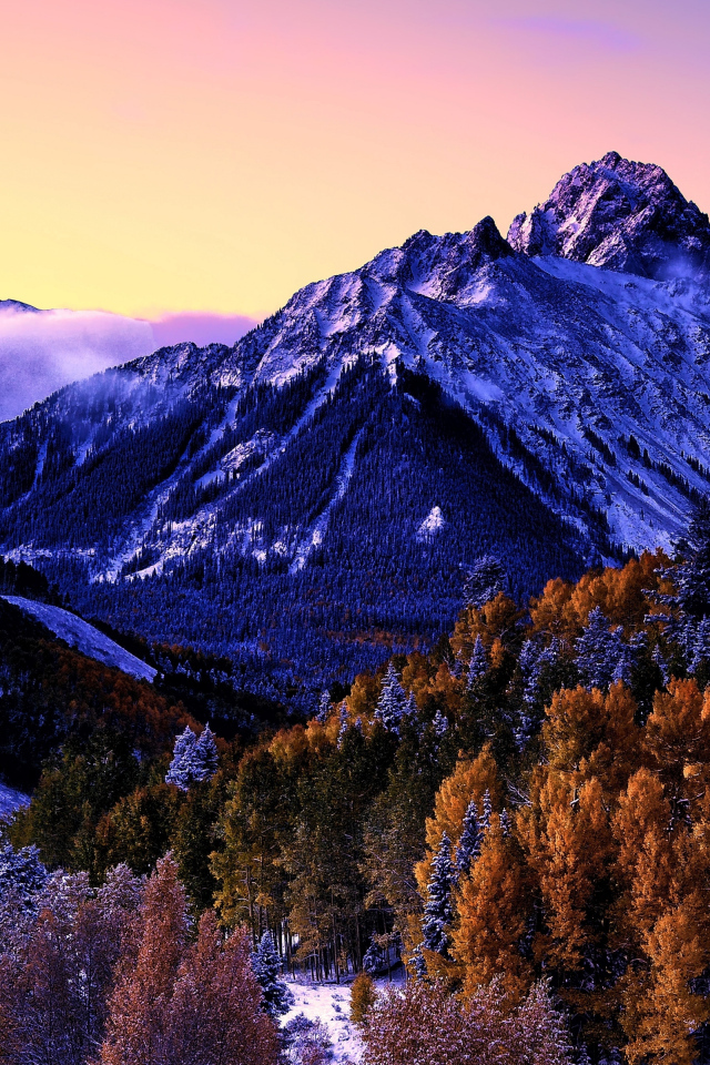Вид на заснеженную гору и лес
