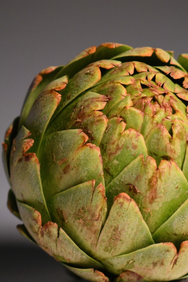 Большой зеленый артишок на сером фоне