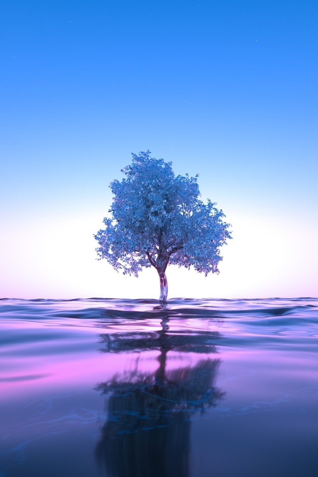 Дерево растет в воде на фоне неба