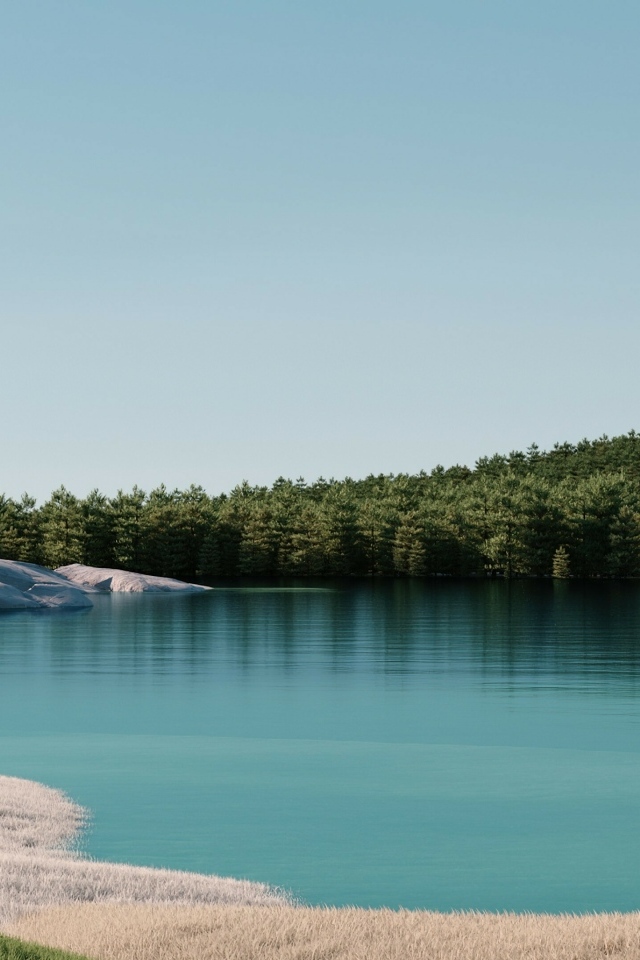 Спокойное озеро с зеленым лесом