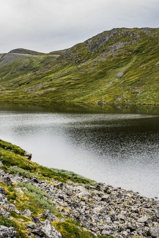 Спокойная река у покрытых зеленью холмов