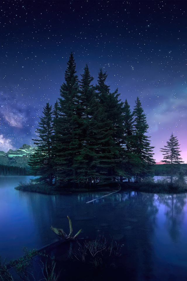 Остров с елями в озере под красивым небом