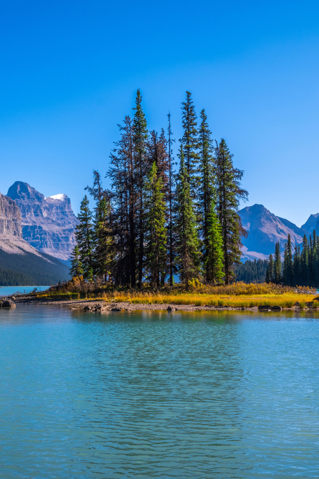 Остров с высокими елями посреди горного озера