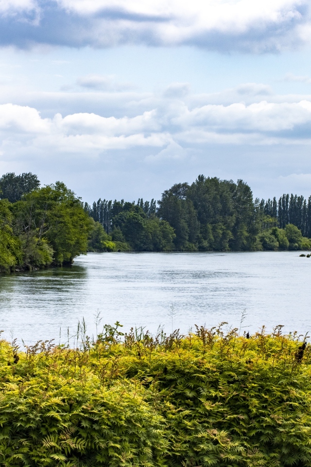 Озеро с покрытыми деревьями берегами