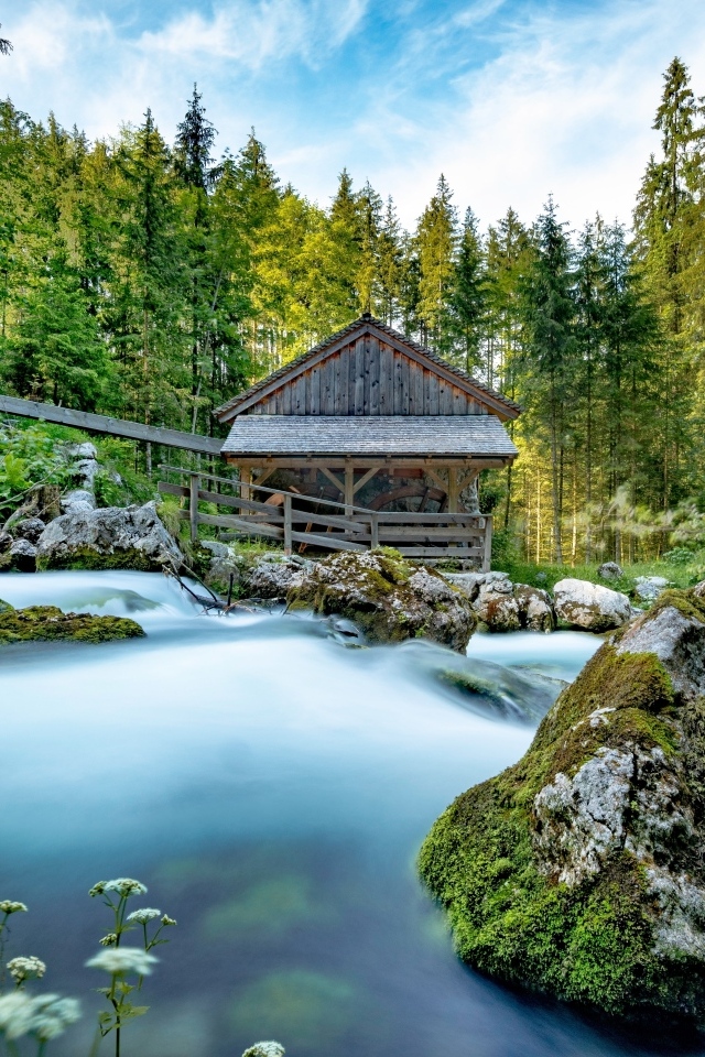 Старая хижина в лесу у горной реки