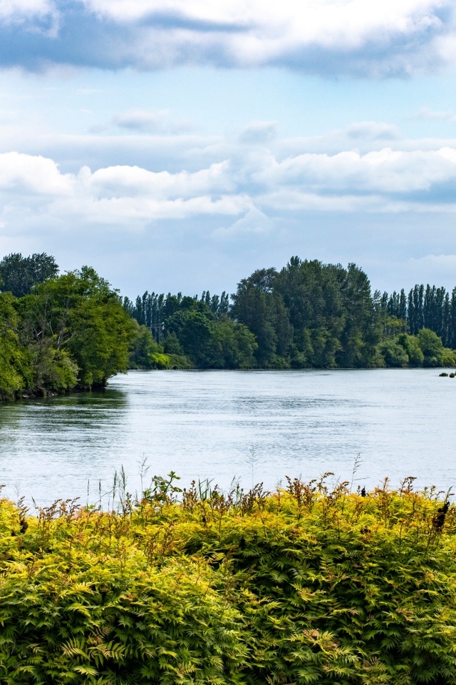 Тихая вода озера у парка летом