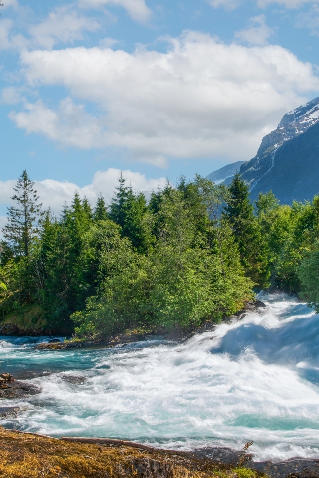 Бушующая быстрая река в лесу
