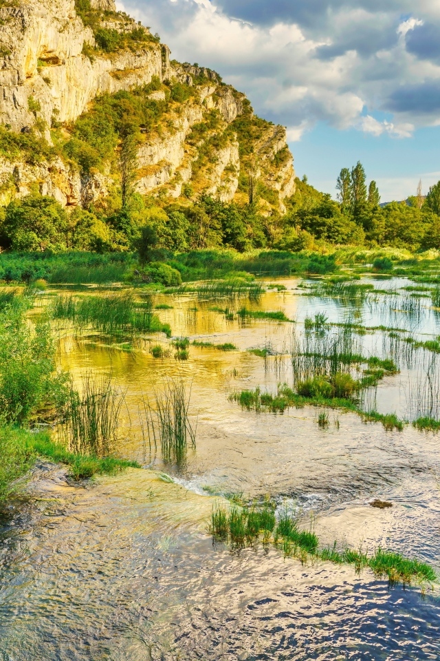 Река с зелеными растениями у горы
