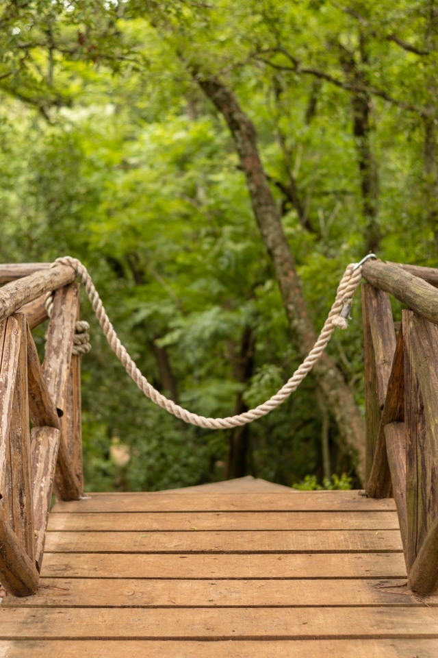 Деревянный мост в летнем парке