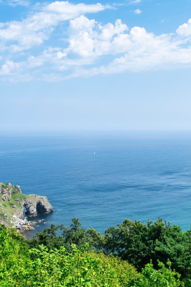 Красивый вид на море с покрытой деревьями горы