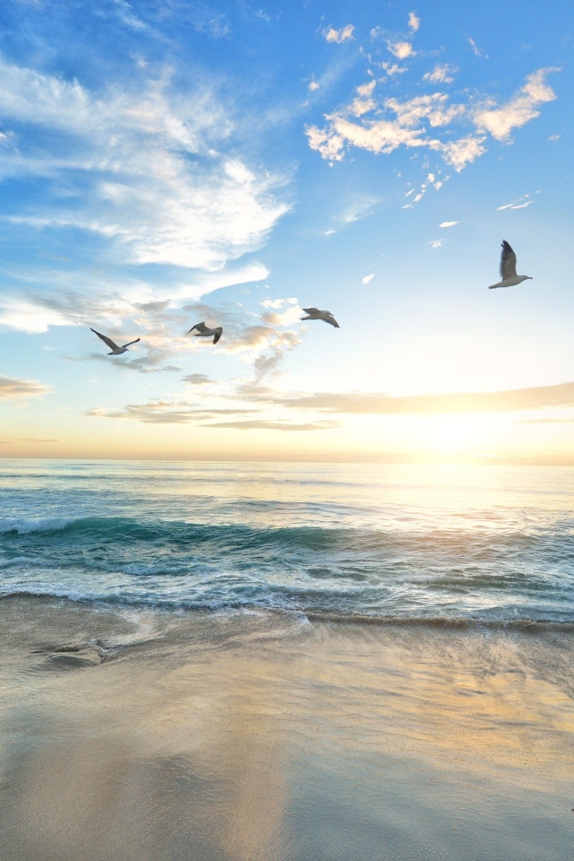 Красивый вид на море летом