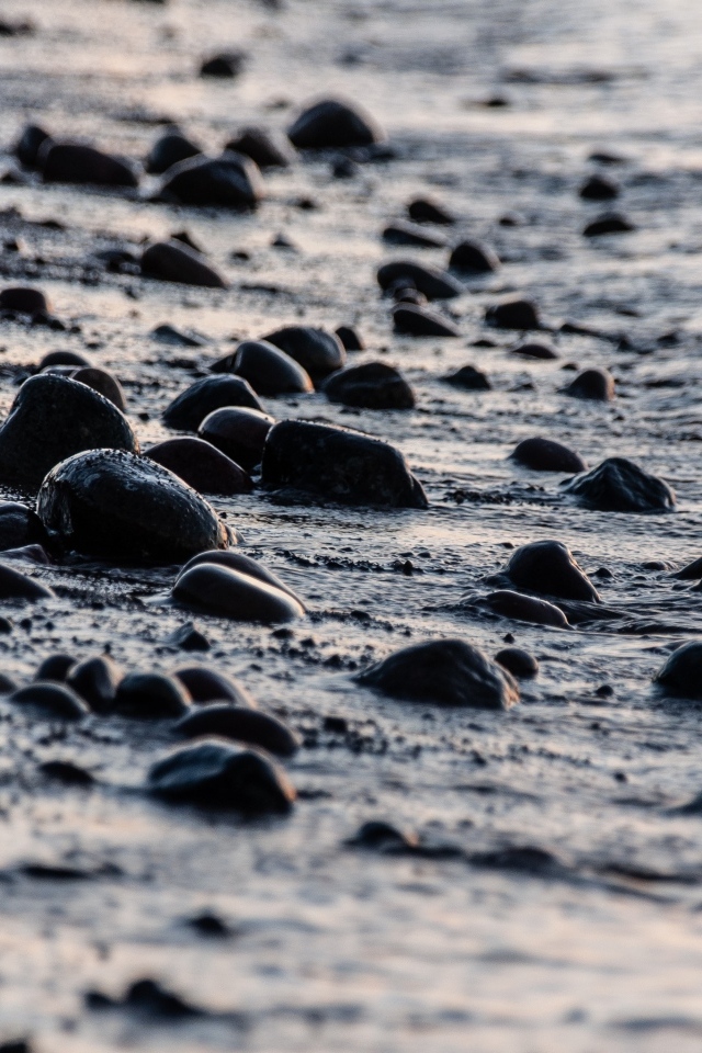 Мокрые камни на песке у моря