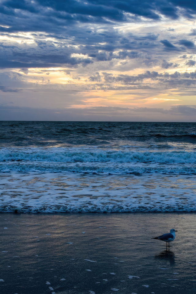 Белые волны окутывают берег моря на рассвете