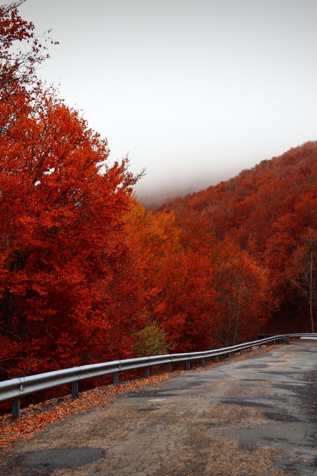 Извилистая дорога с покрытыми красными листьями деревьями на обочине