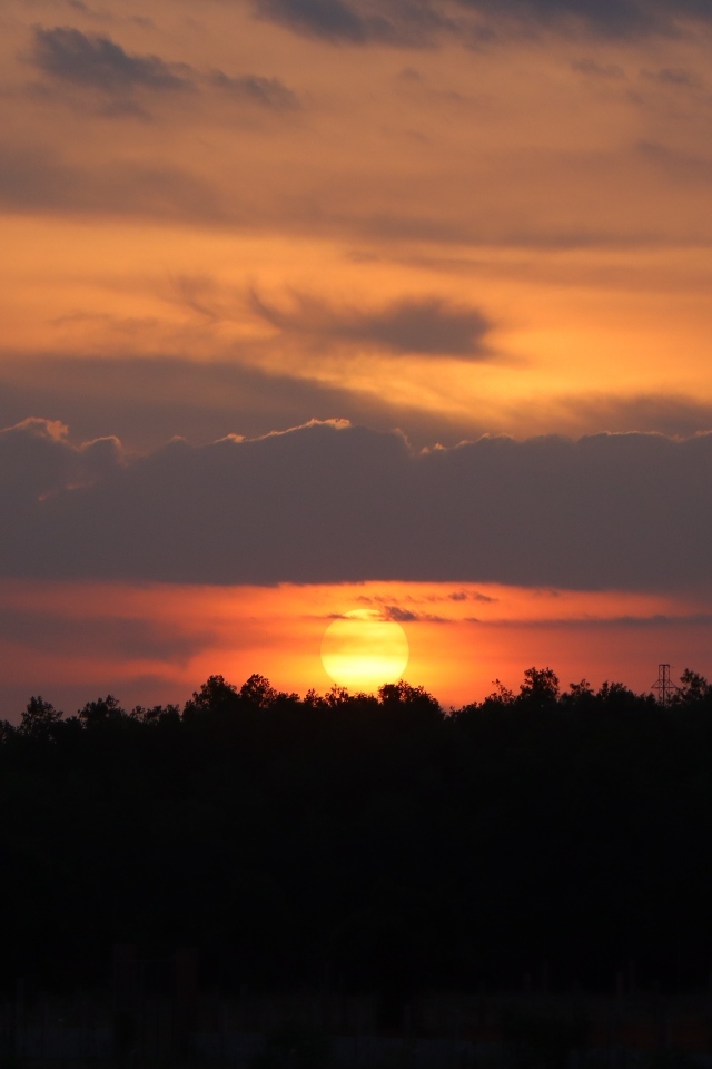 Яркое солнце садится за лесом