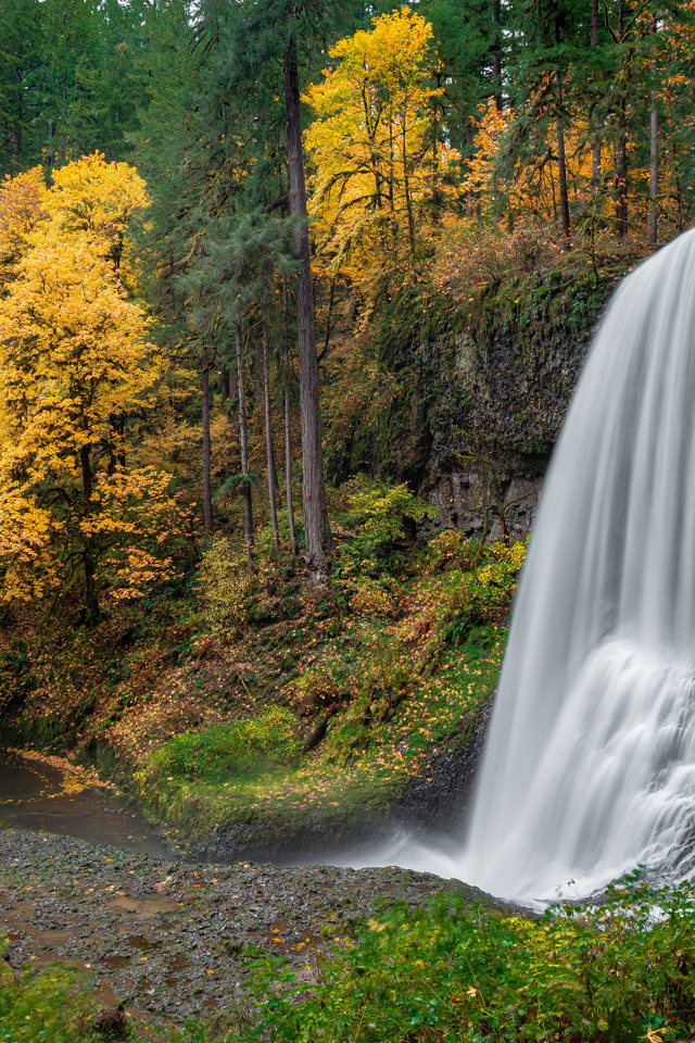 Быстрый холодный водопад в осеннем лесу