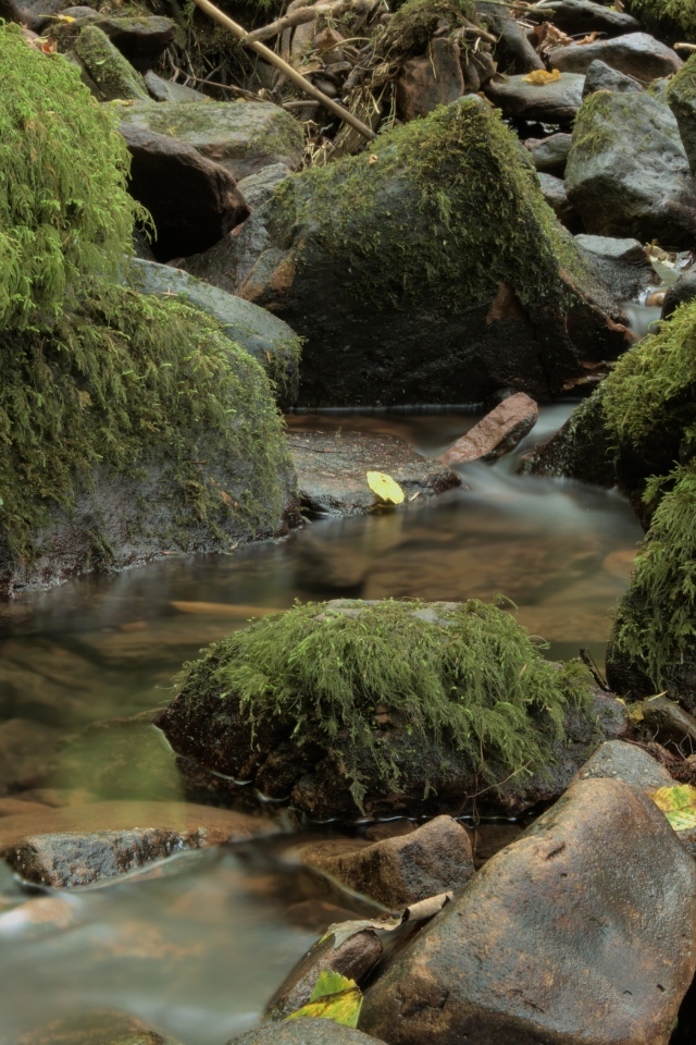 Лесной водопад стекает по холодным камням осенью