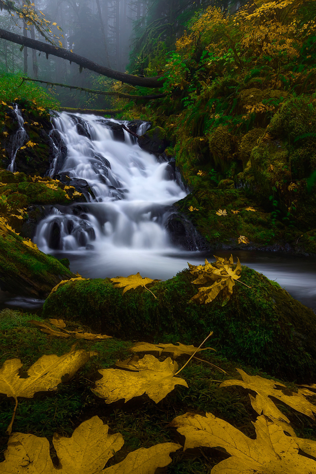 Водопад в лесу осенью