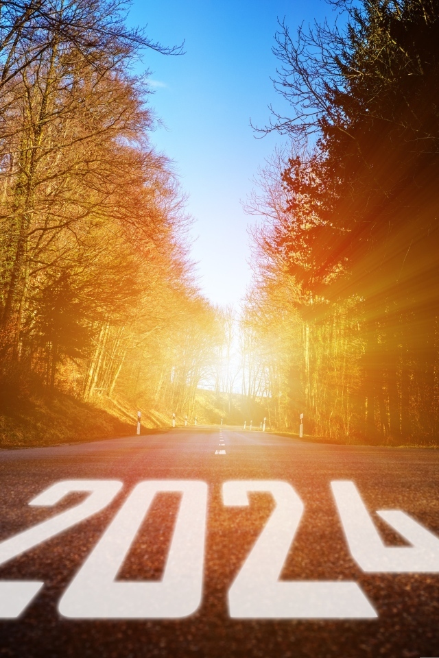 Белые цифры 2024 на дороге в лесу