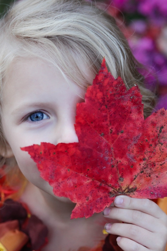 Голубоглазая девочка закрыла глаз красным листом