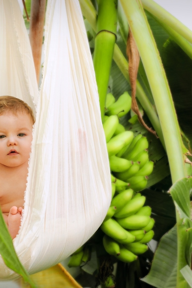 Ребенок в гамаке в тропических зарослях