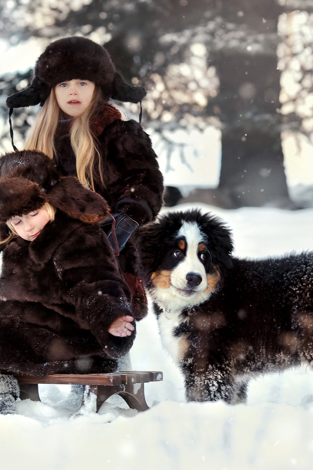 Дети на санках со щенком зимой