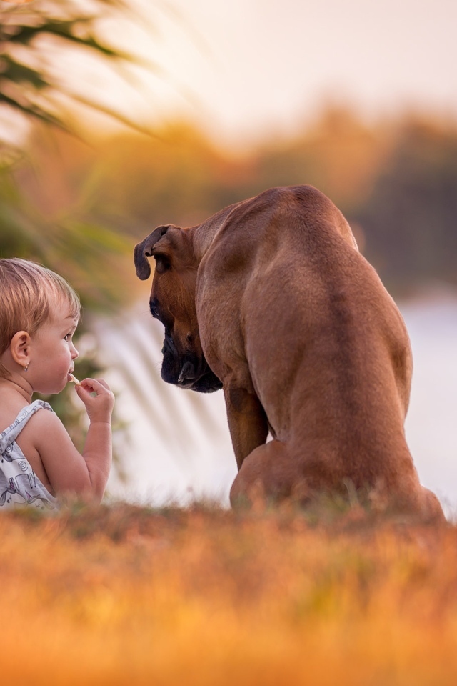 Девочка с собакой на берегу реки