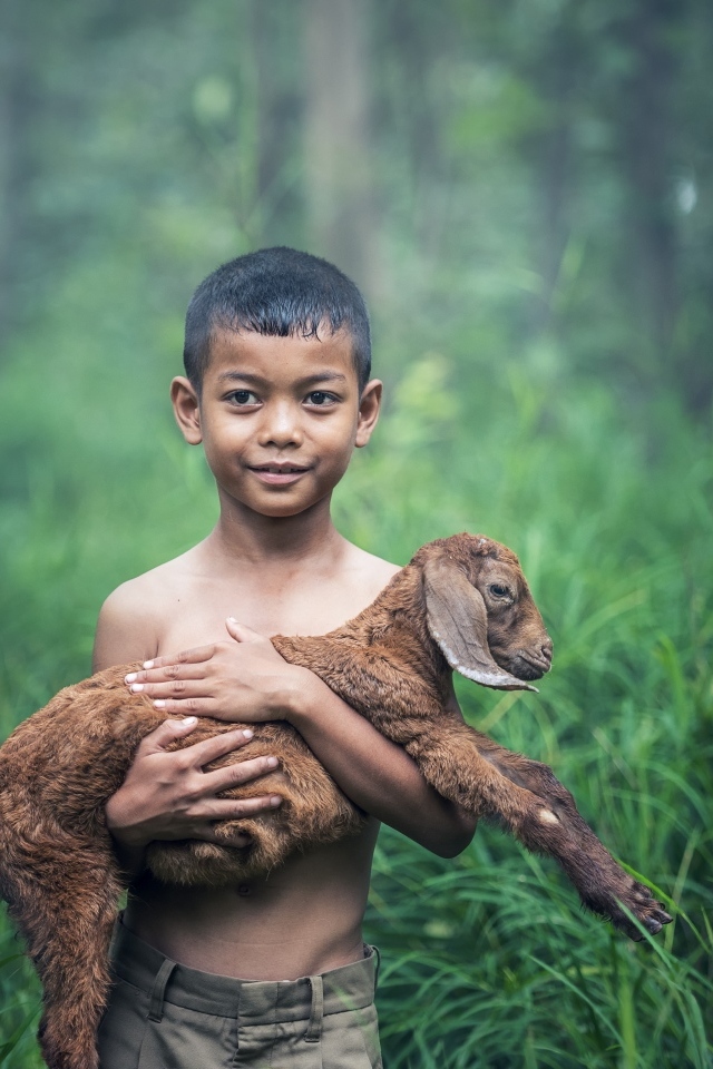 Маленький мальчик с ягненком на руках