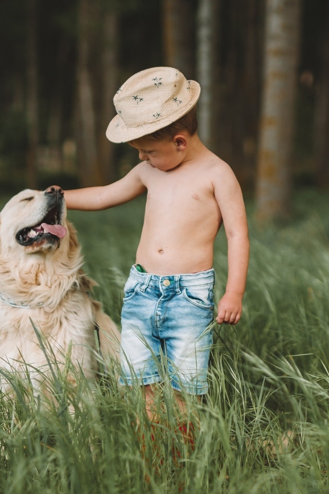 Маленький мальчик с золотистым ретриверов в траве