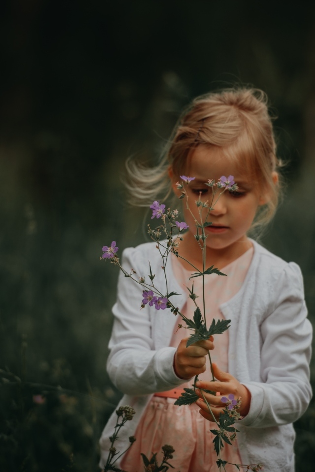 Маленькая девочка с полевыми  цветами в руках
