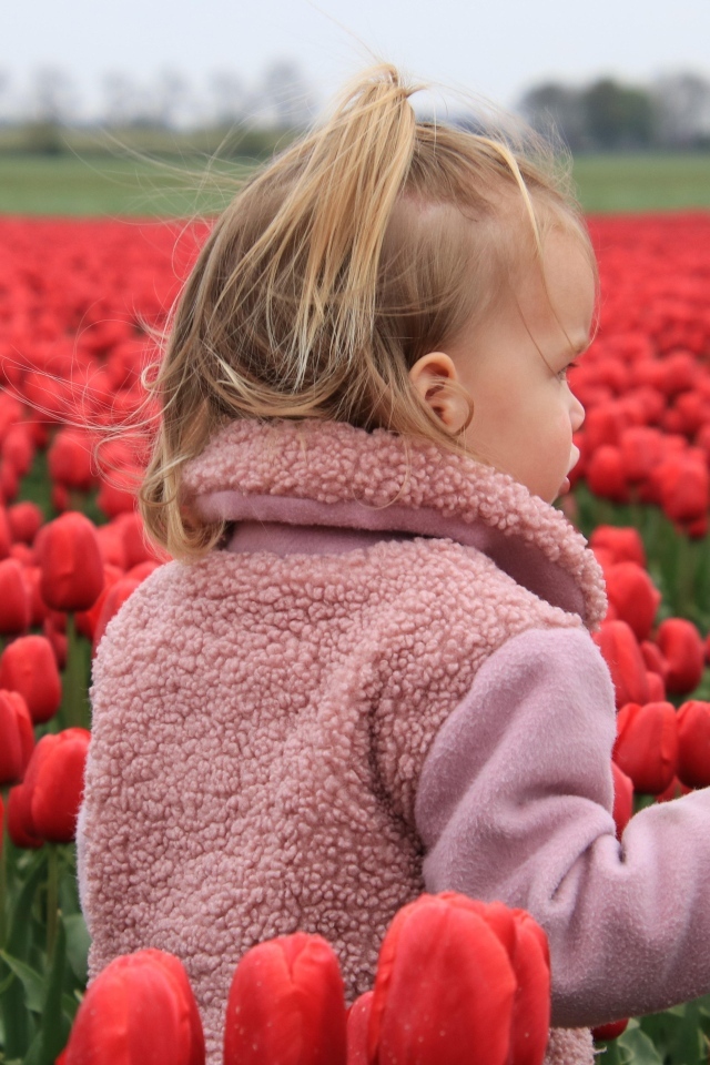 Маленькая девочка на поле с красными тюльпанами