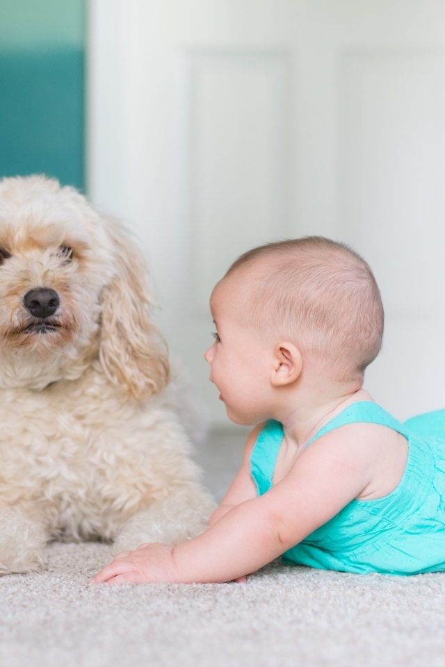 Маленькая девочка с собакой в комнате