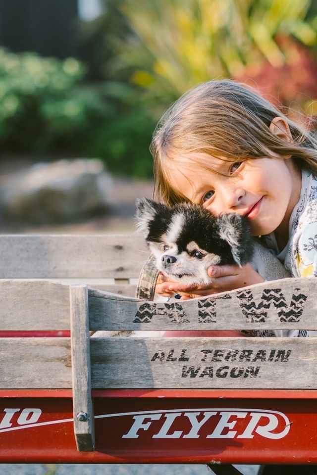 Маленькая девочка со щенком в тележке