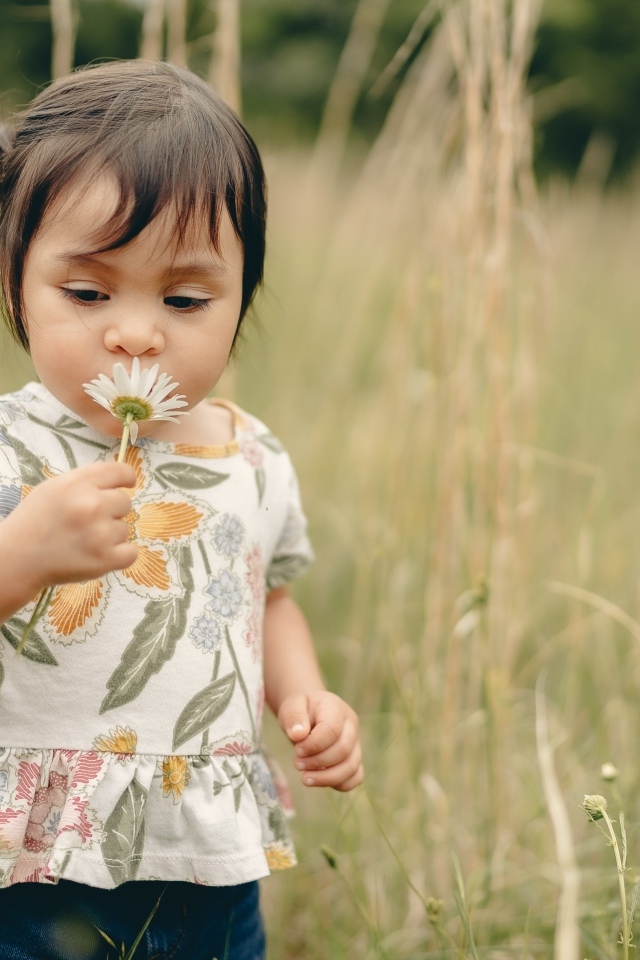 Маленькая девочка с ромашкой на поле