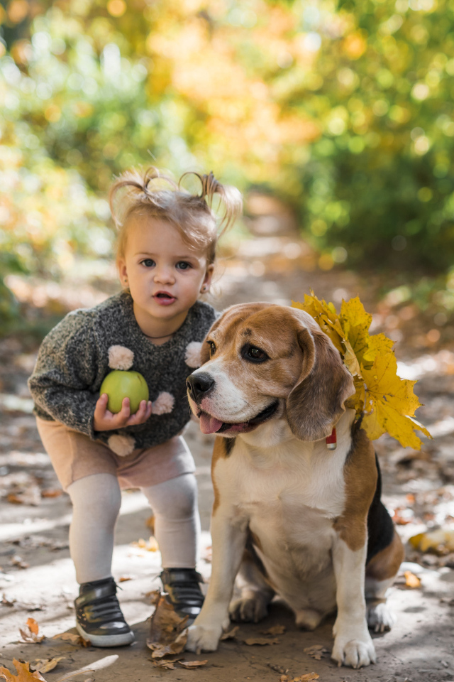 Маленькая девочка с собакой в парке