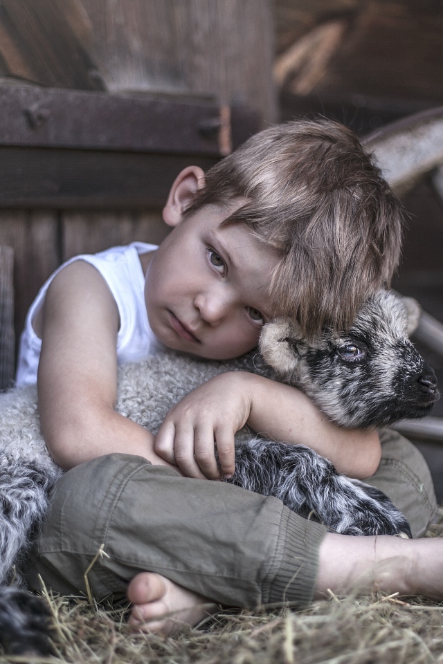 Маленький грустный мальчик обнимает ягненка