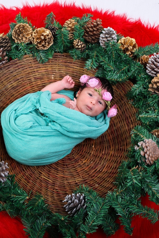 Новорожденная девочка в корзине с еловыми ветками