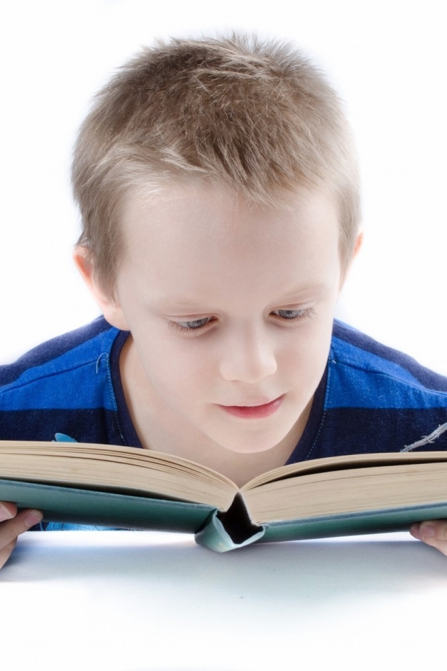 Школьник читает книгу на белом фоне